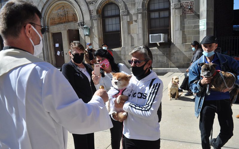 NEW YORK ANIMAL BLESSING