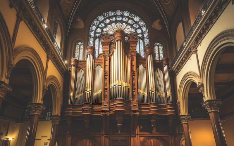 organ