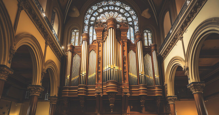 organ